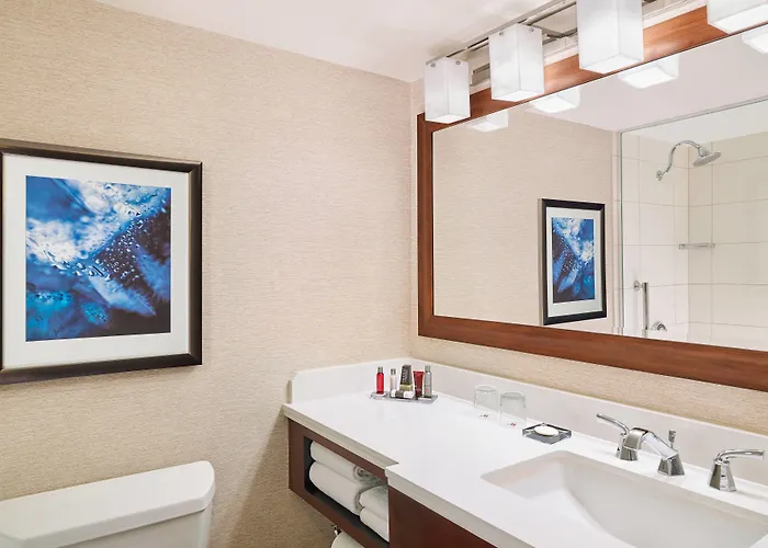Hotel Marriott Chicago O'hare Rosemont