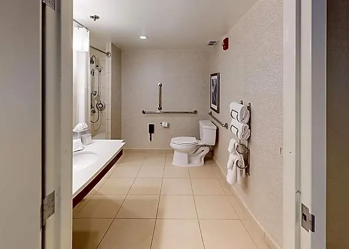 Marriott Chicago O'hare Hotel 3*