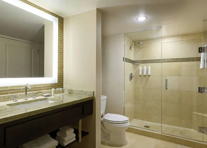 Marriott Chicago O'hare Hotel Rosemont